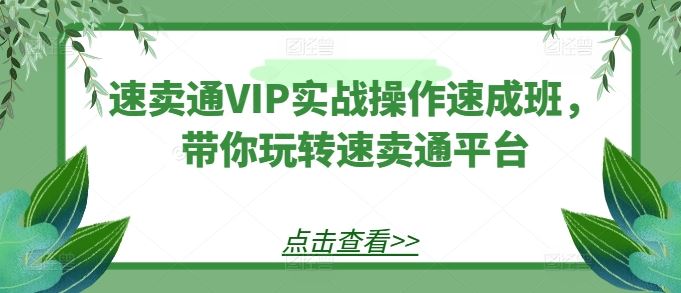 速卖通VIP实战操作速成班，带你玩转速卖通平台-天孤无涯网