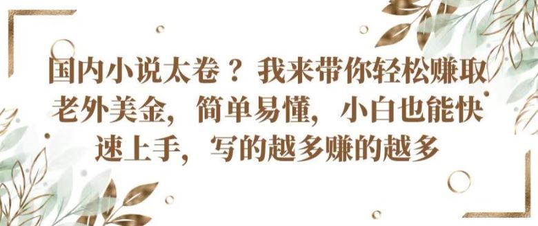 国内小说太卷 ?带你轻松赚取老外美金，简单易懂，小白也能快速上手，写的越多赚的越多【揭秘】-天孤无涯网