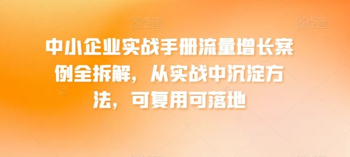 中小企业实战手册流量增长案例全拆解，从实战中沉淀方法，可复用可落地-天孤无涯网