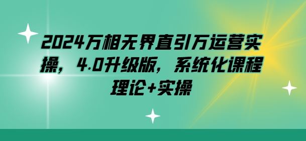 2024万相无界直引万运营实操，4.0升级版，系统化课程 理论+实操-天孤无涯网