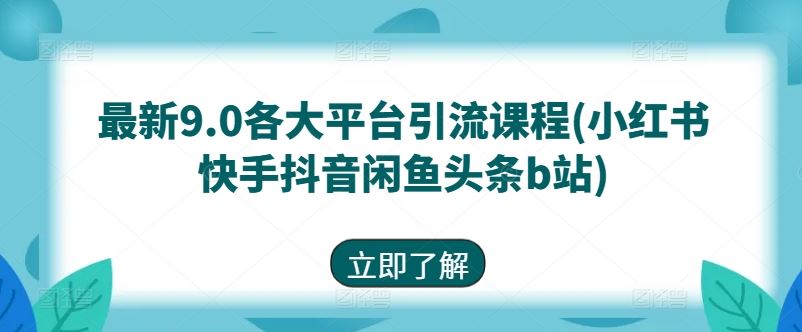 最新9.0各大平台引流课程(小红书快手抖音闲鱼头条b站)-天孤无涯网