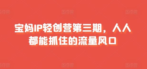 宝妈IP轻创营第三期，人人都能抓住的流量风口-天孤无涯网