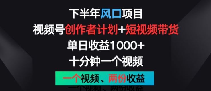 下半年风口项目，视频号创作者计划+视频带货，一个视频两份收益，十分钟一个视频【揭秘】-天孤无涯网