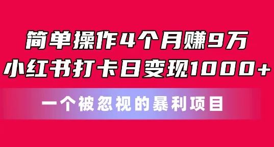 简单操作4个月赚9w，小红书打卡日变现1k，一个被忽视的暴力项目【揭秘】-天孤无涯网
