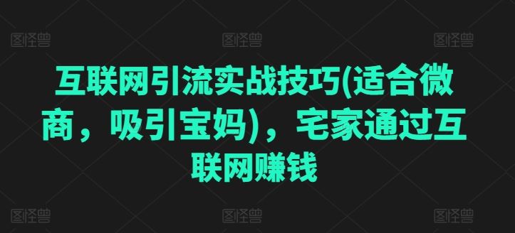 互联网引流实战技巧(适合微商，吸引宝妈)，宅家通过互联网赚钱-天孤无涯网