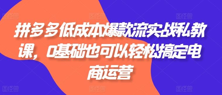 拼多多低成本爆款流实战私教课，0基础也可以轻松搞定电商运营-天孤无涯网