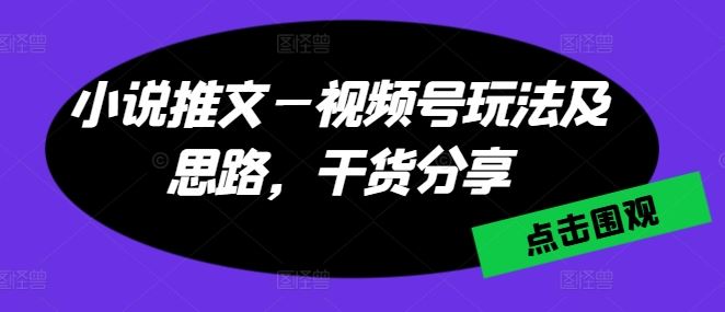 小说推文—视频号玩法及思路，干货分享-天孤无涯网