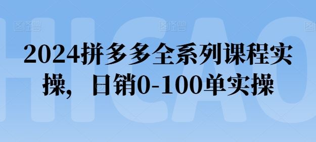2024拼多多全系列课程实操，日销0-100单实操【必看】-天孤无涯网