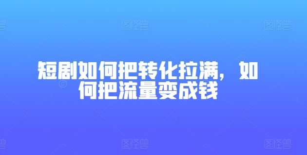 短剧如何把转化拉满，如何把流量变成钱-天孤无涯网