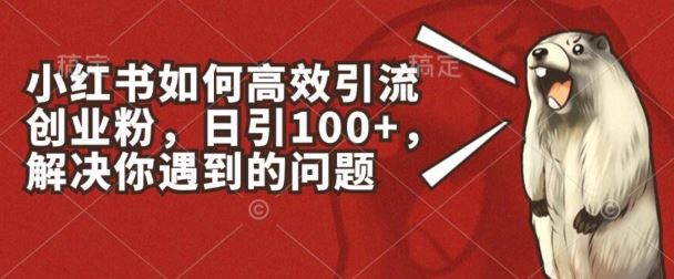 小红书如何高效引流创业粉，日引100+，解决你遇到的问题【揭秘】-天孤无涯网