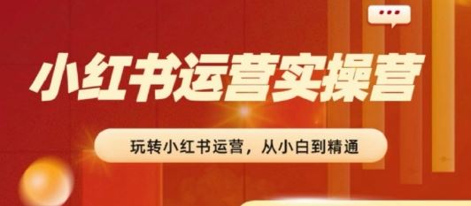 2024小红书运营实操营，​从入门到精通，完成从0~1~100-天孤无涯网