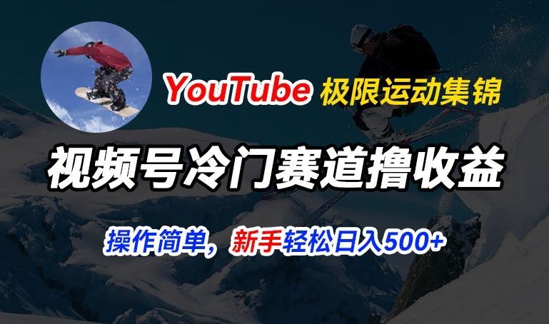 视频号冷门赛道撸收益，YouTube搬运极限运动集锦，暴力起号，操作简单流量高，轻松日入5张【揭秘】-天孤无涯网