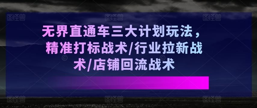 无界直通车三大计划玩法，精准打标战术/行业拉新战术/店铺回流战术-天孤无涯网