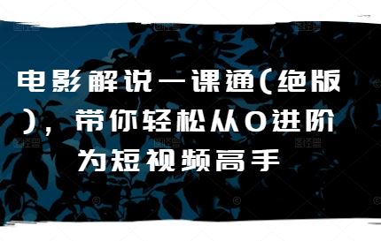 电影解说一课通(绝版)，带你轻松从0进阶为短视频高手-天孤无涯网