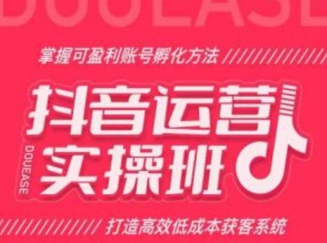 抖音运营实操班，掌握可盈利账号孵化方法，打造高效低成本获客系统-天孤无涯网
