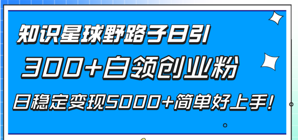 （8315期）知识星球野路子日引300+白领创业粉，日稳定变现5000+简单好上手！-天孤无涯网