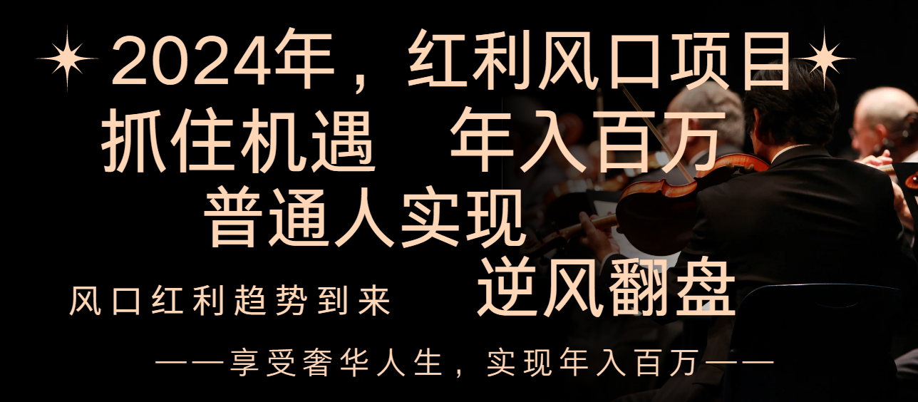（8418期）2024红利风口项目来袭，享受第一波红利，逆风翻盘普通人也能实现，年入百万-天孤无涯网