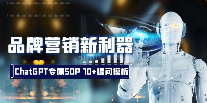 （8403期）品牌营销新利器：ChatGPT专属SOP，70+提问模板-天孤无涯网