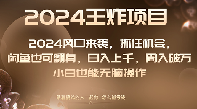 （8401期）2024风口项目来袭，抓住机会，闲鱼也可翻身，日入上千，周入破万，小白…-天孤无涯网