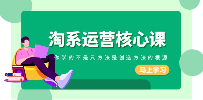 （8392期）淘系-运营核心课，你学的不是只方法是创造方法的根源（190节课）-天孤无涯网