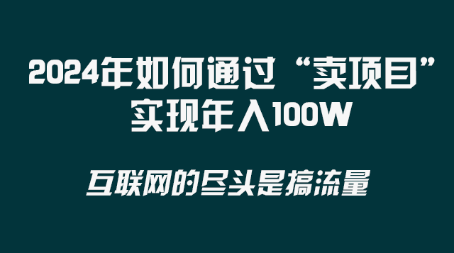 （8382期） 2024年如何通过“卖项目”实现年入100W-天孤无涯网