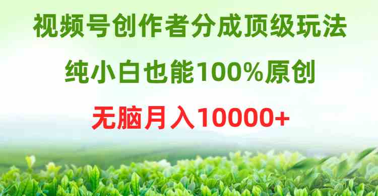 （9608期）视频号创作者分成顶级玩法，纯小白也能100%原创，无脑月入10000+-天孤无涯网