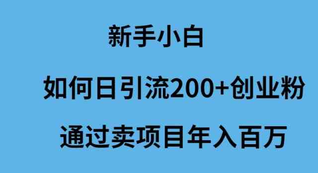（9668期）新手小白如何日引流200+创业粉通过卖项目年入百万-天孤无涯网