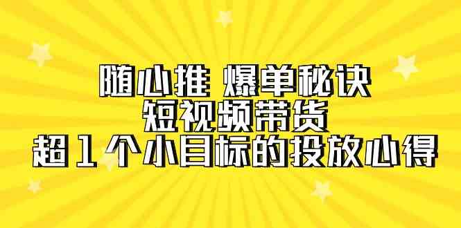 （9687期）随心推 爆单秘诀，短视频带货-超1个小目标的投放心得（7节视频课）-天孤无涯网