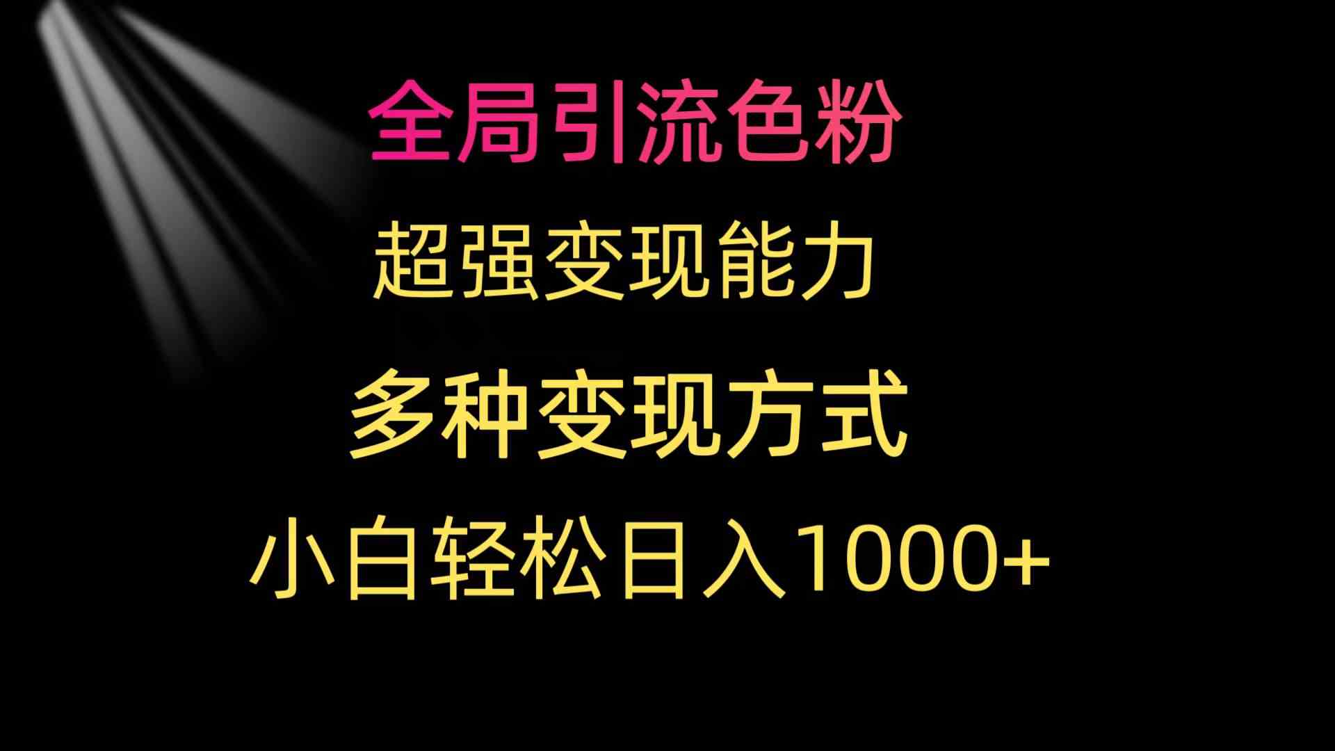 （9680期）全局引流色粉 超强变现能力 多种变现方式 小白轻松日入1000+-天孤无涯网