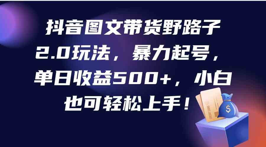 （9790期）抖音图文带货野路子2.0玩法，暴力起号，单日收益500+，小白也可轻松上手！-天孤无涯网