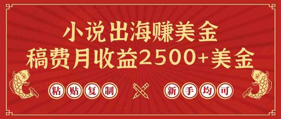 （9765期）小说出海赚美金，稿费月收益2500+美金，仅需chatgpt粘贴复制，新手也能玩转-天孤无涯网