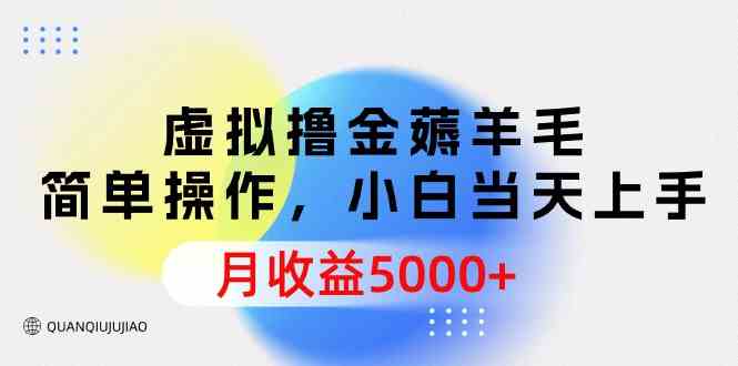 （9864期）虚拟撸金薅羊毛，简单操作，小白当天上手，月收益5000+-天孤无涯网
