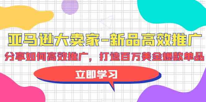 （9945期）亚马逊 大卖家-新品高效推广，分享如何高效推广，打造百万美金爆款单品-天孤无涯网