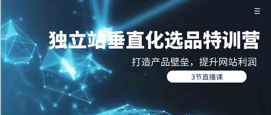 （9925期）独立站-垂直化选品训练营，打造产品壁垒，提升网站利润（3节直播课）-天孤无涯网