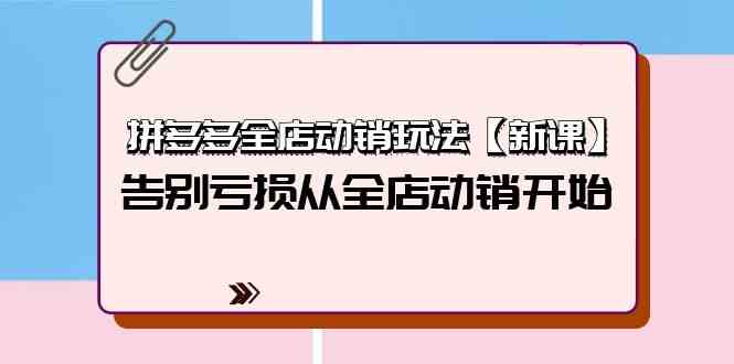 （9974期）拼多多全店动销玩法【新课】，告别亏损从全店动销开始（4节视频课）-天孤无涯网