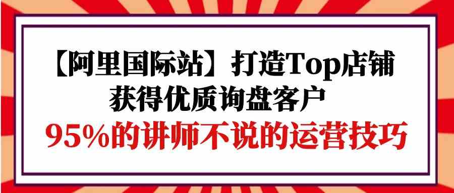 （9976期）【阿里国际站】打造Top店铺-获得优质询盘客户，95%的讲师不说的运营技巧-天孤无涯网