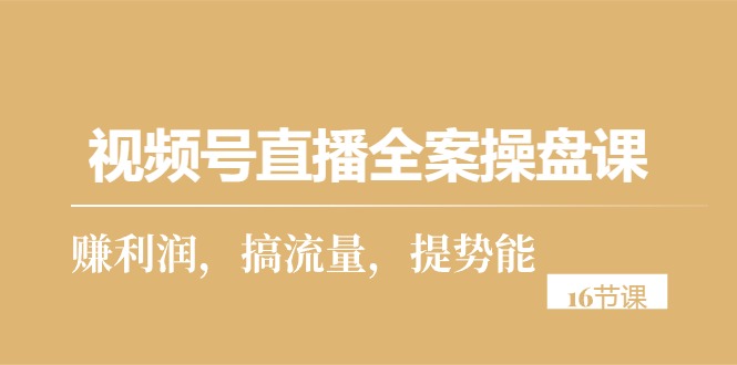 （10207期）视频号直播全案操盘课，赚利润，搞流量，提势能（16节课）-天孤无涯网