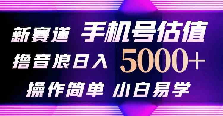 （10154期）抖音不出境直播【手机号估值】最新撸音浪，日入5000+，简单易学，适合…-天孤无涯网