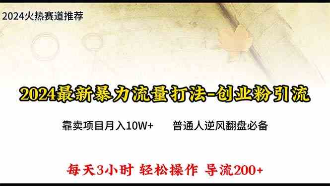（10151期）2024年最新暴力流量打法，每日导入300+，靠卖项目月入10W+-天孤无涯网