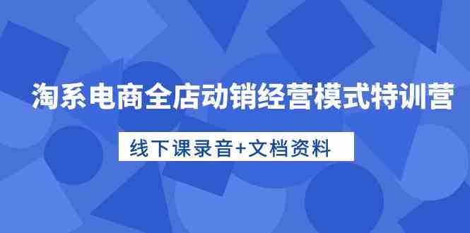 （10192期）淘系电商全店动销经营模式特训营，线下课录音+文档资料-天孤无涯网