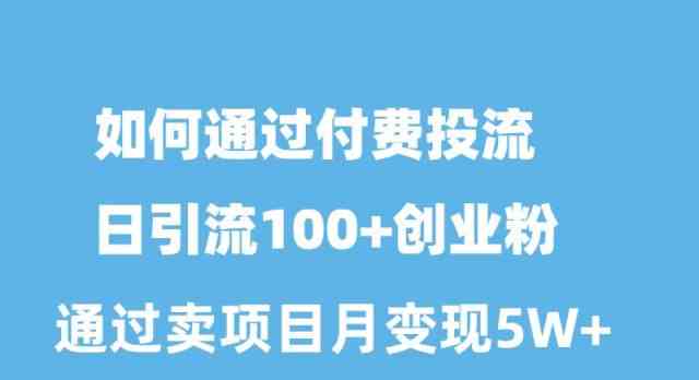 （10189期）如何通过付费投流日引流100+创业粉月变现5W+-天孤无涯网