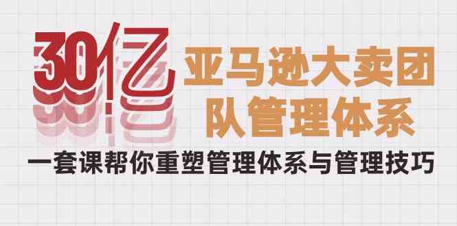 （10178期）30亿-亚马逊大卖团队管理体系，一套课帮你重塑管理体系与管理技巧-天孤无涯网