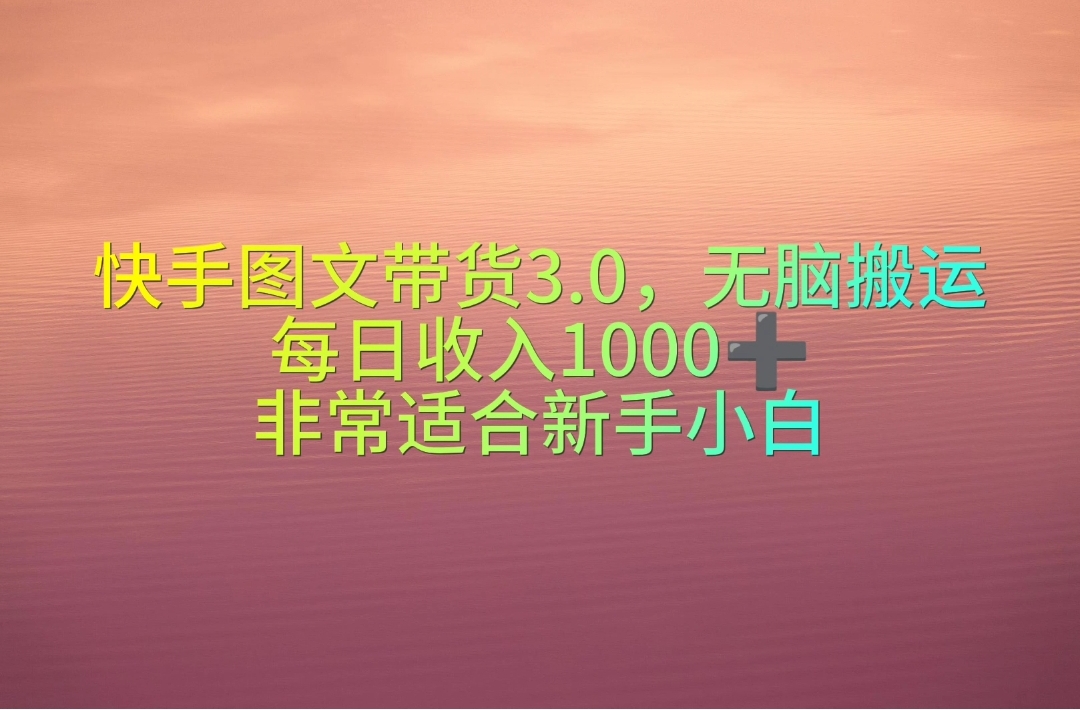 （10252期）快手图文带货3.0，无脑搬运，每日收入1000＋，非常适合新手小白-天孤无涯网