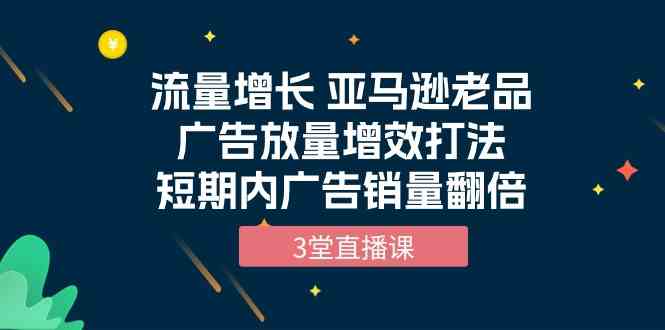 （10112期）流量增长 亚马逊老品广告放量增效打法，短期内广告销量翻倍（3堂直播课）-天孤无涯网