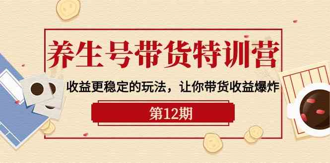 （10110期）养生号带货特训营【12期】收益更稳定的玩法，让你带货收益爆炸-9节直播课-天孤无涯网