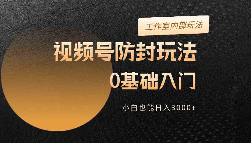 （10107期）2024视频号升级防封玩法，零基础入门，小白也能日入3000+-天孤无涯网