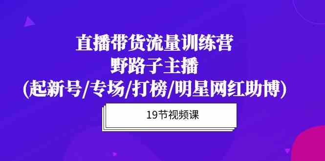 （10016期）直播带货流量特训营，野路子主播(起新号/专场/打榜/明星网红助博)19节课-天孤无涯网