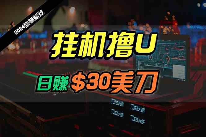 （10013期）日赚30美刀，2024最新海外挂机撸U内部项目，全程无人值守，可批量放大-天孤无涯网