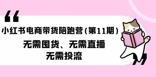 （9996期）小红书电商带货陪跑营(第11期)无需囤货、无需直播、无需投流（送往期10套）-天孤无涯网