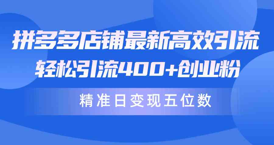 （10041期）拼多多店铺最新高效引流术，轻松引流400+创业粉，精准日变现五位数！-天孤无涯网